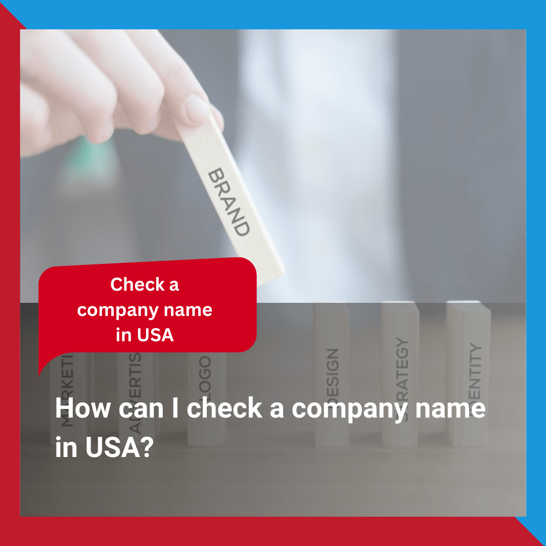 How can I check a company name in USA